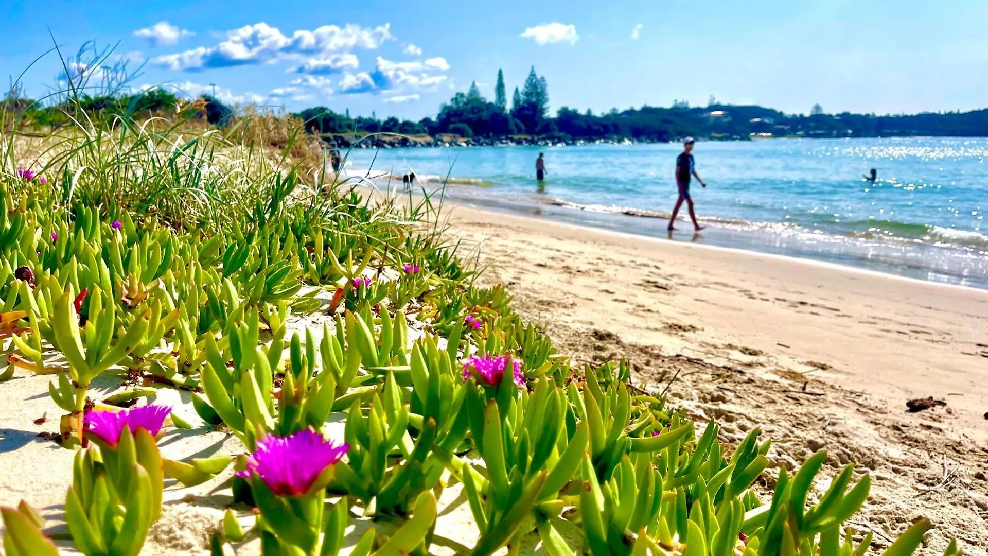 The Penthouse - Spectacular Views Of The Bay, And The Ocean! Only 150M To Shaws Bay Apartment East Ballina Australia